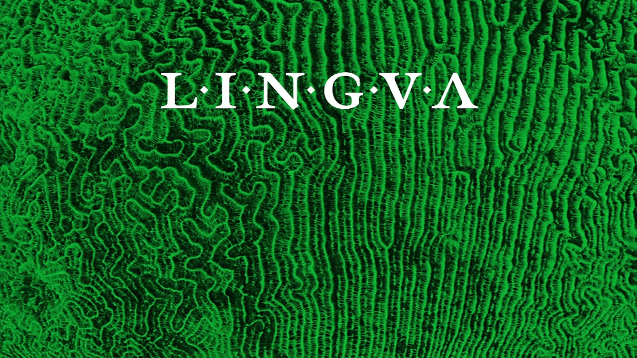 Eu sei que vou te amar