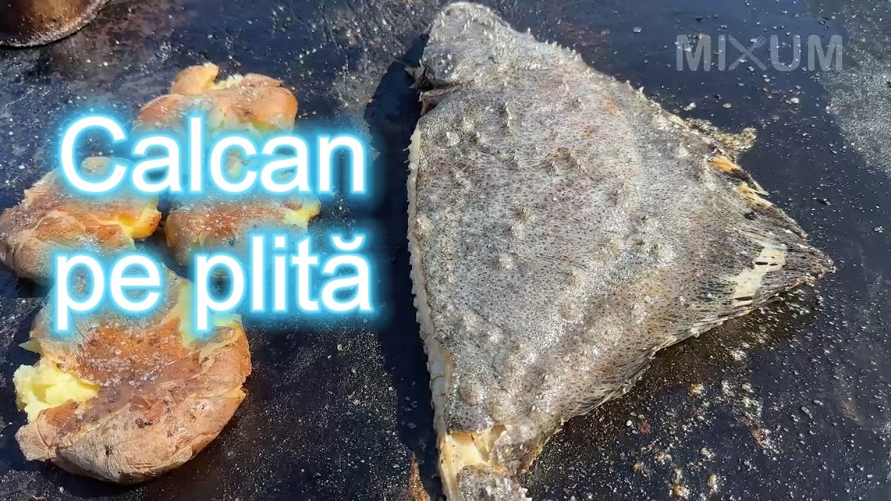MIXUM | Calcan pe plita cu Gabi (GaFish), simplu dar foarte gustos