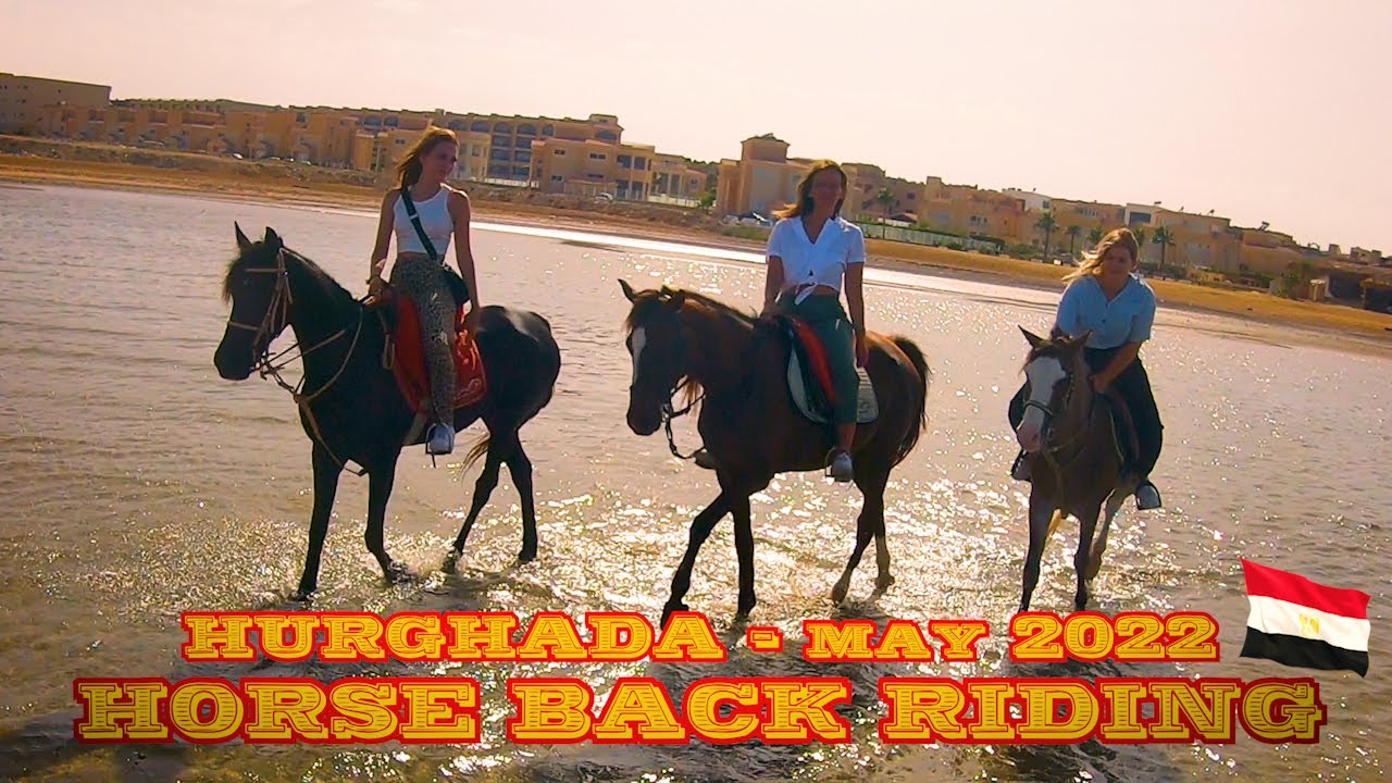 Horse back  riding adventure Hurghada Eng/Pl #147