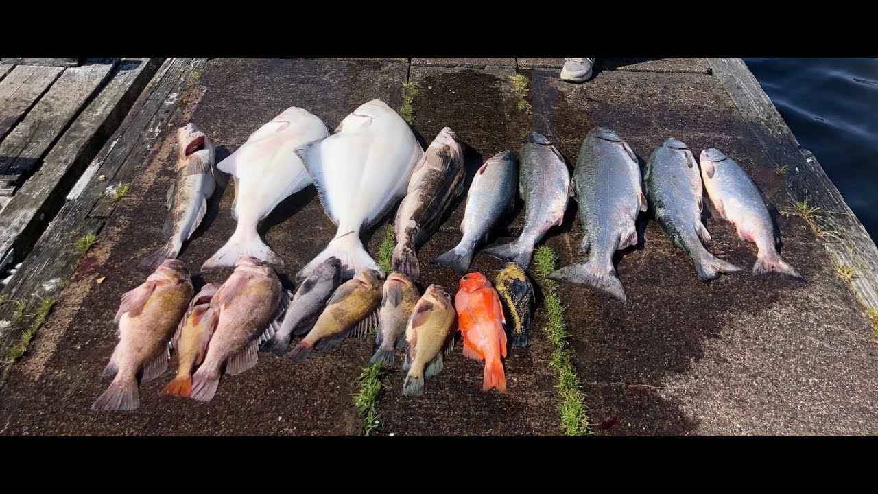 Saving=good,  fish and money