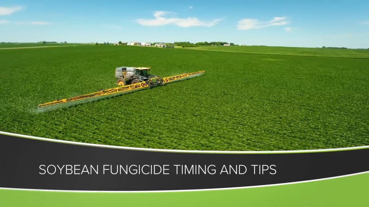Soybean Fungicide Timing and Tips (From Ag PhD #1158 - Air Date 6-14-20)