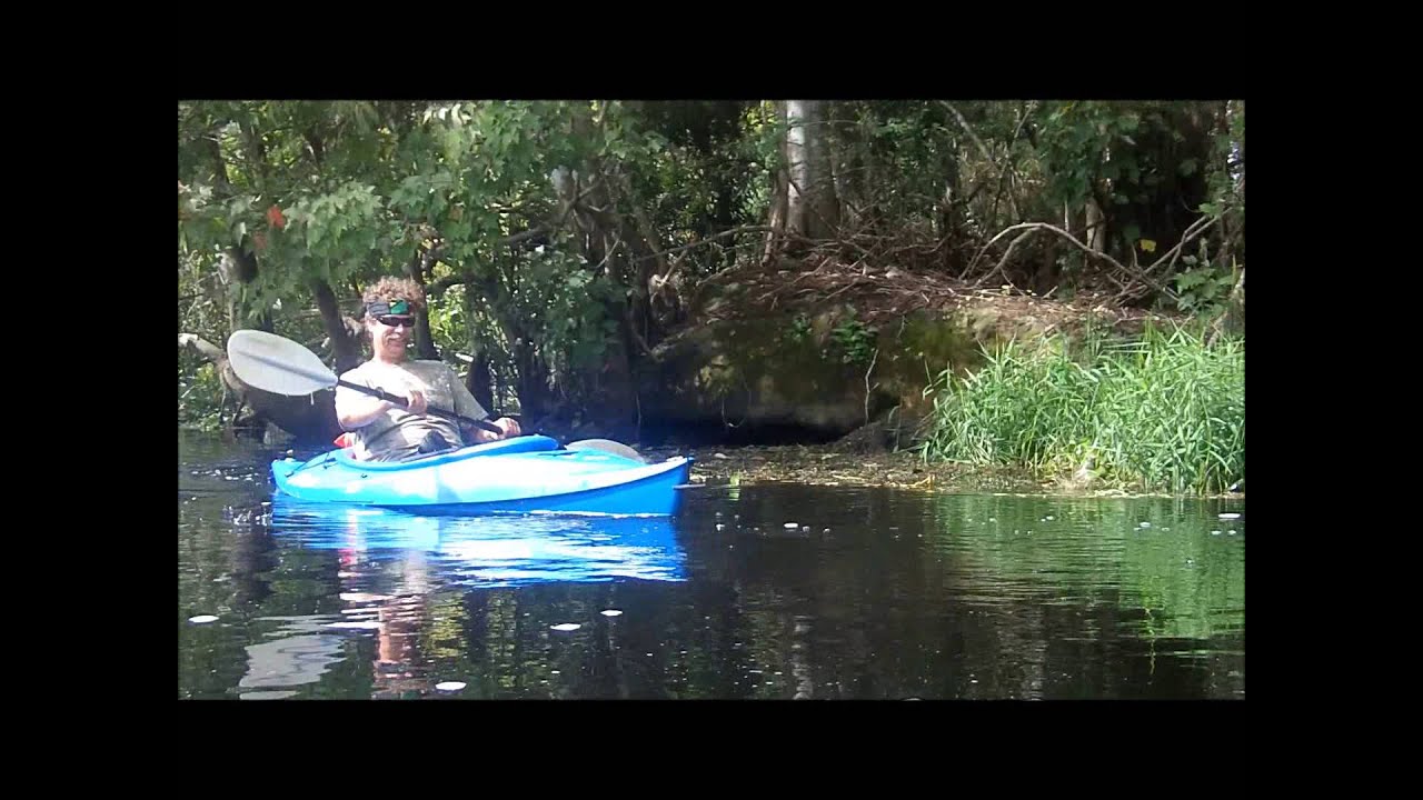 Alligator Attack on Kayak LOL!