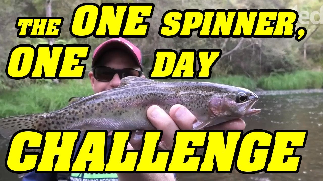 One Spinner Trout Challenge