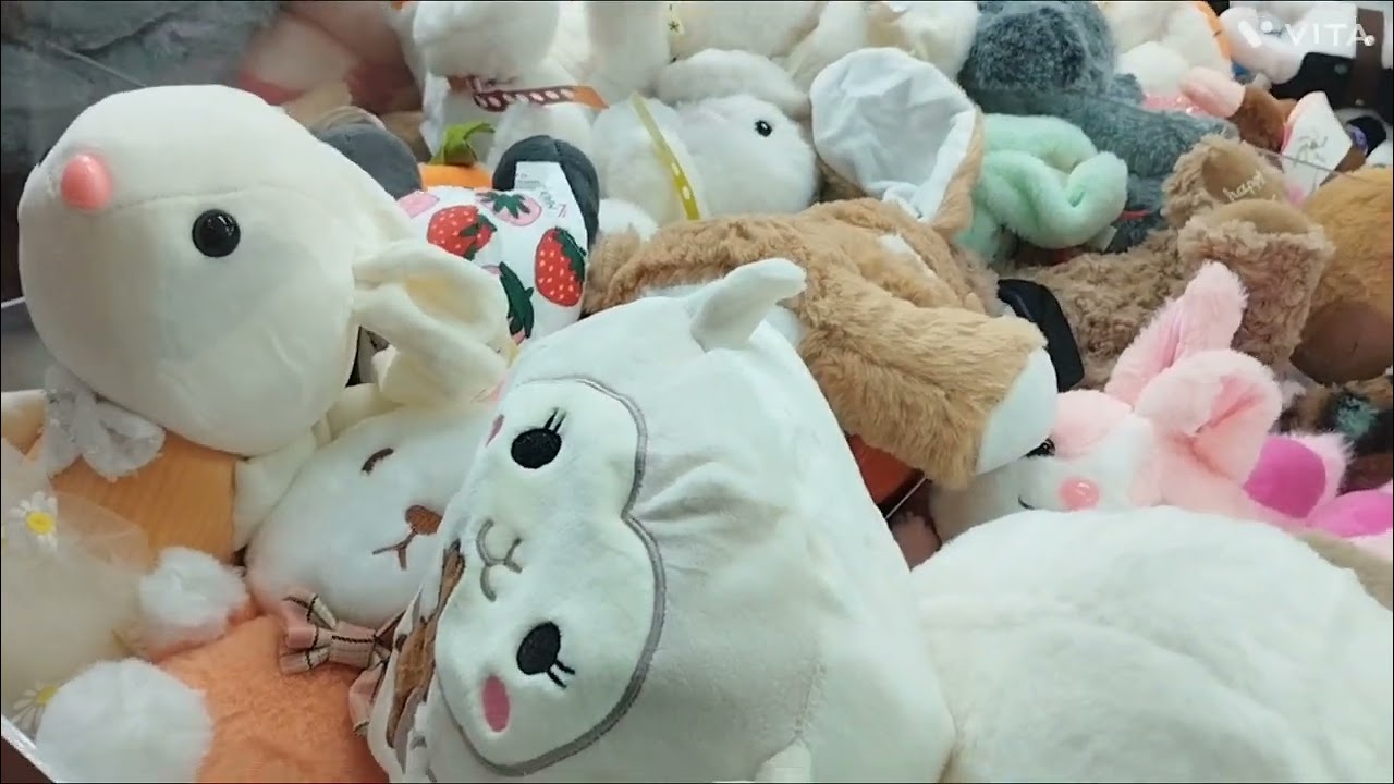 Parece mentira, mas tá gravado! Feisty Dragão + Coelha #brmachine #feisty #feistypets