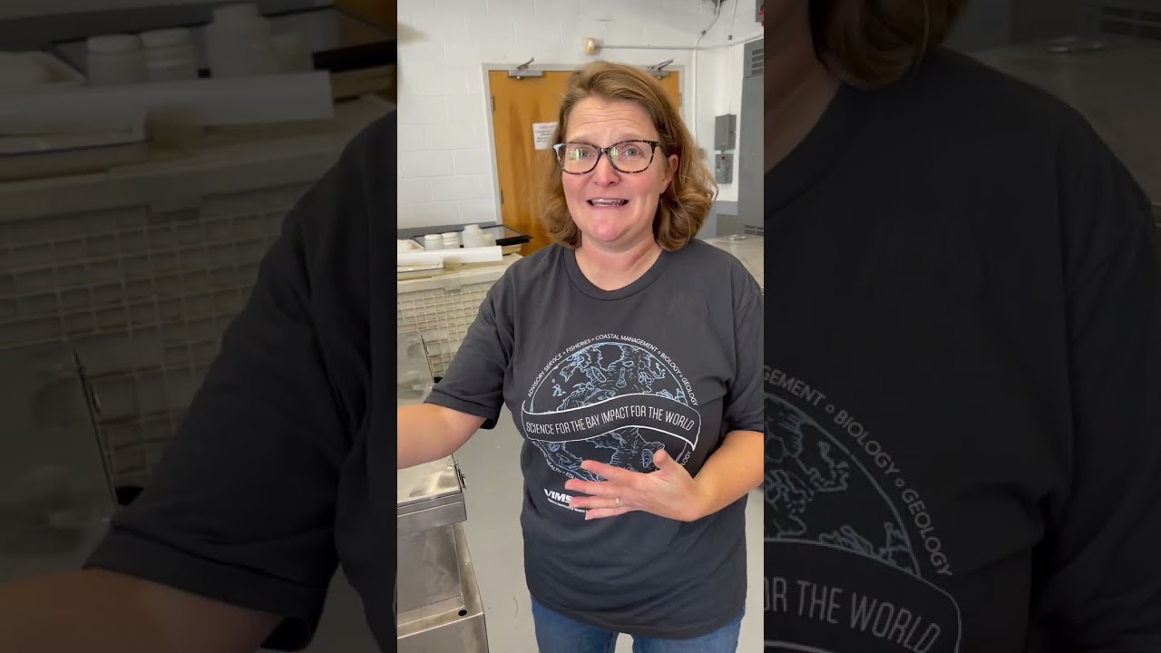 Nunnally Ichthyology Collection: sailfish and remora