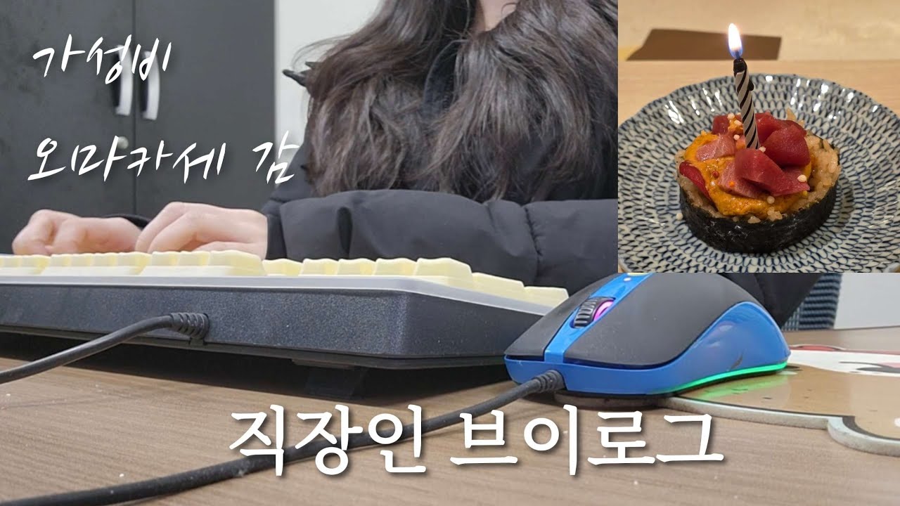 [VLOG] 직장인 브이로그 | 중소기업 사무직 | 사무직 브이로그 | 경리 브이로그 | 시즈니 브이로그 | 서울 가성비 오마카세 