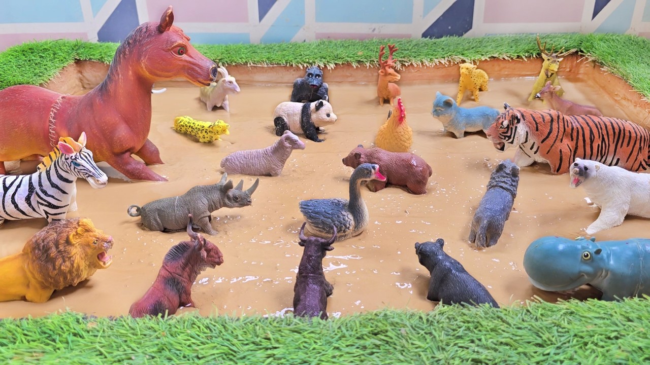 Момент отдыха дневных животных и начало активности ключевых сумеречных видов!