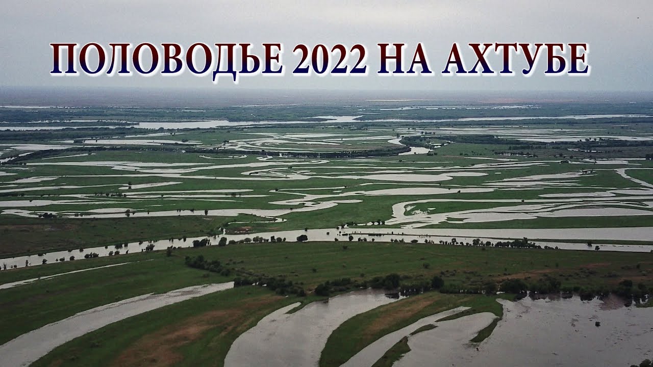 ПОЛОВОДЬЕ 2022 НА АХТУБЕ