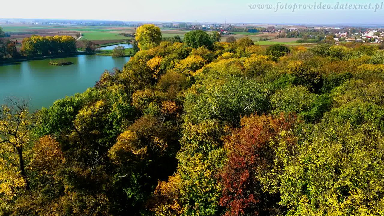Autumn 2018. Olesin-Kurów. Jesień 2018