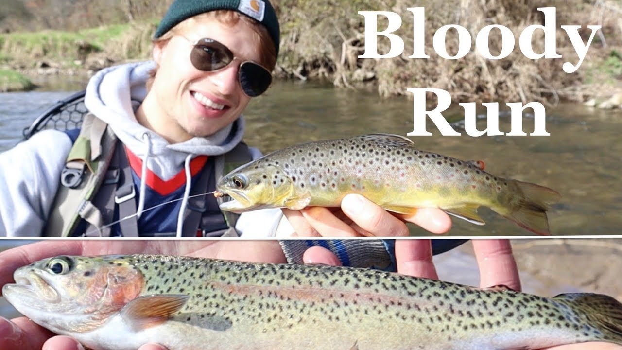 Iowa has TROUT?! (Bloody Run Creek)