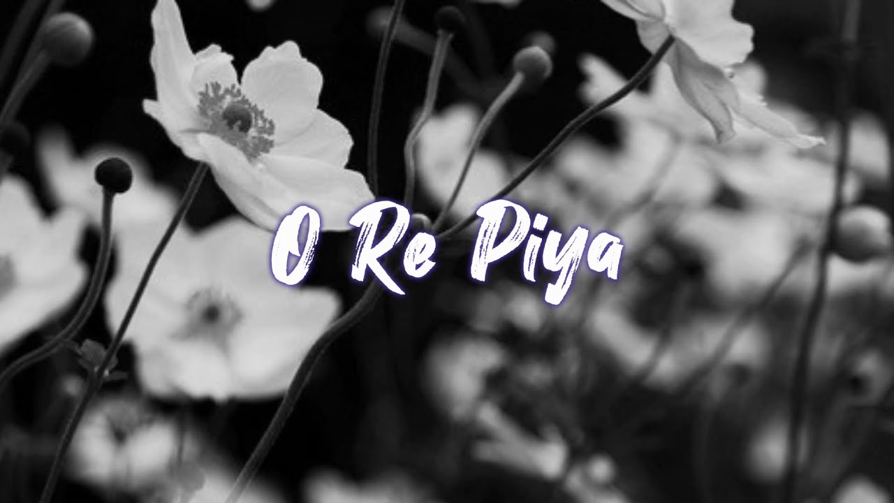 O Re Piya Lyric English Translation | Rahat Fateh Ali Khan