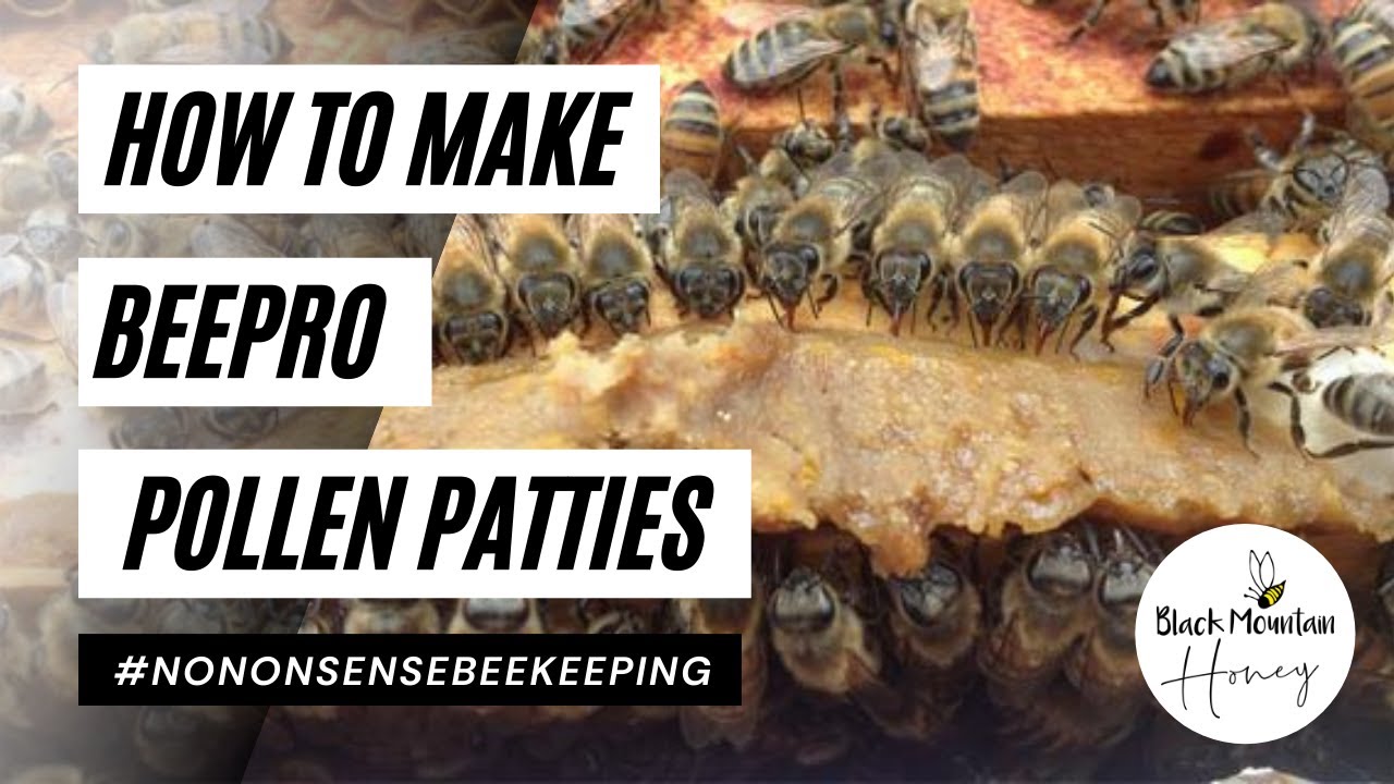 How To Make Pollen Patties &ndash; BeePro Pollen Substitute Recipe for Stronger Bees