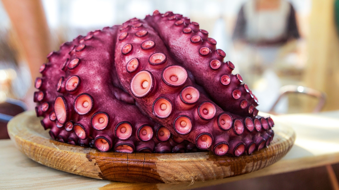 Where does one find the best food in Spain?  Some say it's Galicia, in the northwest of Spain!