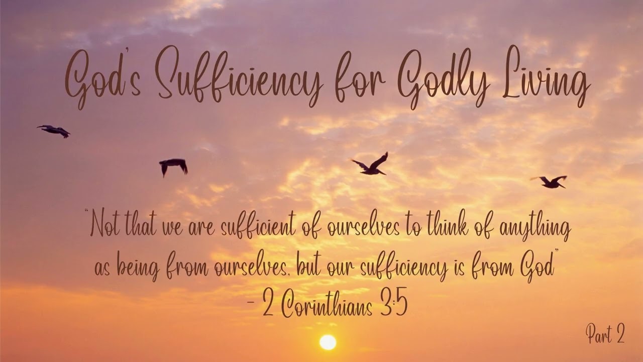 God's Sufficiency for Godly Living, Part 2d (Radio Broadcast: 1/22/2026)