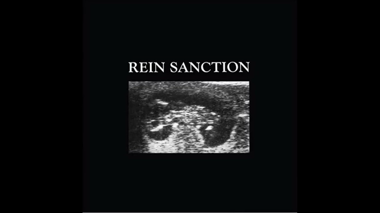 Rein Sanction 1989 EP
