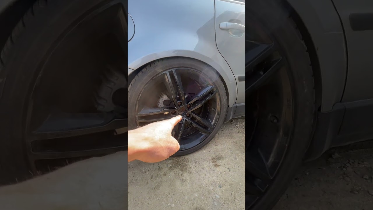 Stance daily Paseratti do zadań specjalnych 
