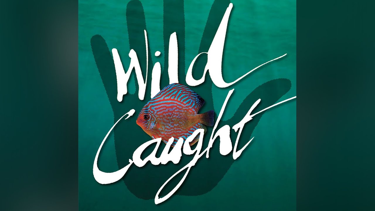 WILD CAUGHT: Aquarium Fish Trade of the Amazon &ndash; Trailer f&uuml;r den Film mit deutschen Untertiteln