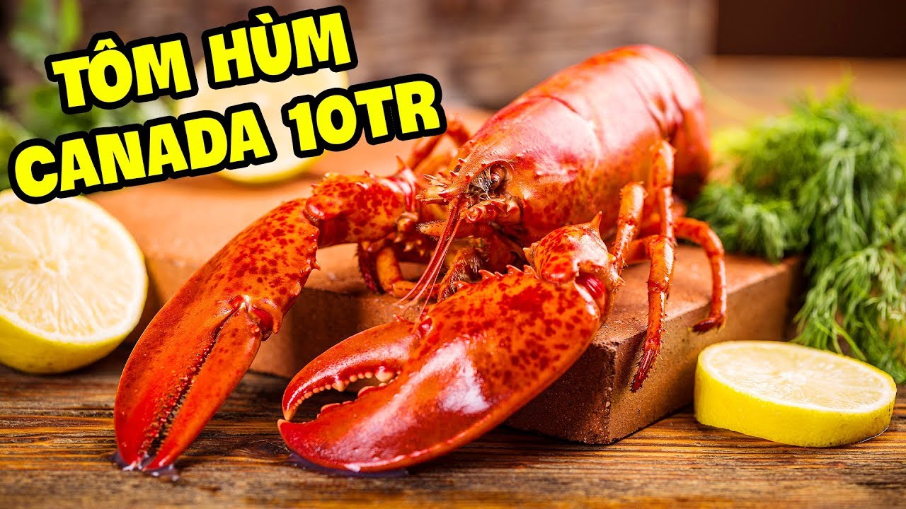 LẦN ĐẦU ĂN THỬ TÔM HÙM CANADA KHỔNG LỒ (Oops Banana)