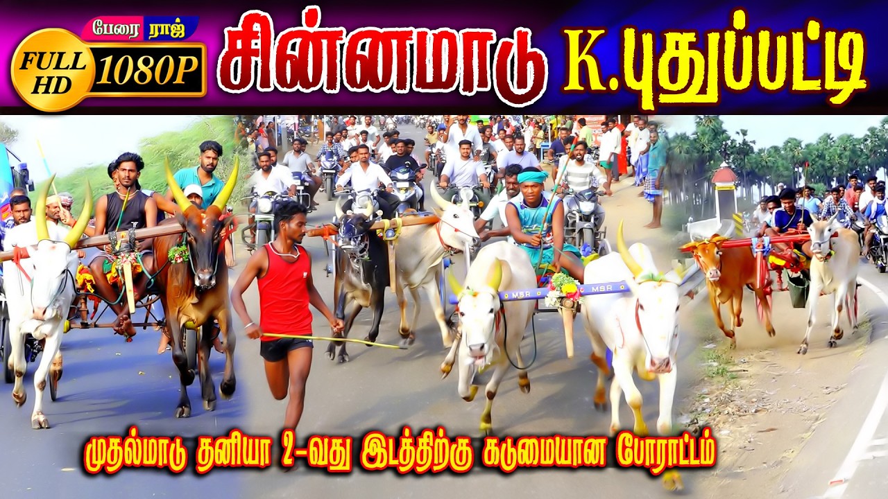 கே.புதுப்பட்டி சின்னமாடு (25.02.2023) பந்தயம்  #perai_raj_digital #reklarace2026