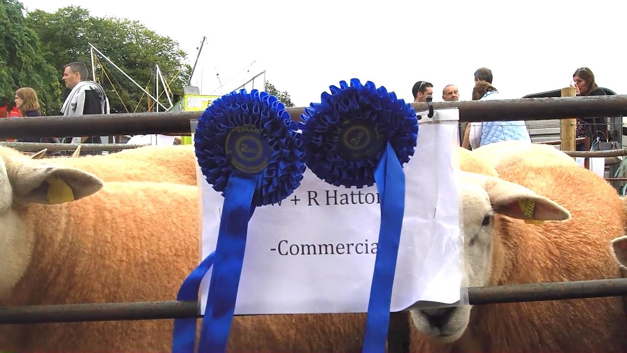 Tullow Show 2015