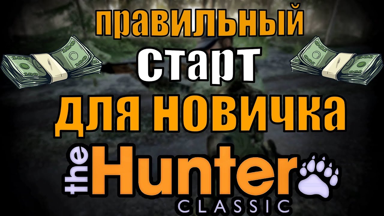 Правильный старт для новичка в The Hunter Classic