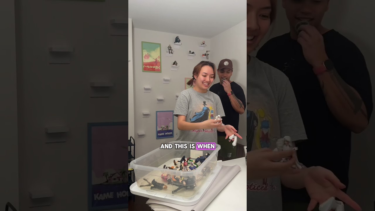 Goodbye Noodle Stopper Figure Wall! 