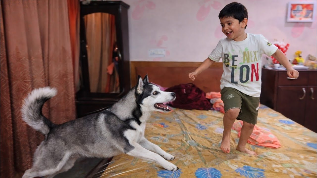 Gracy to pichy hi pad gaya😄😄