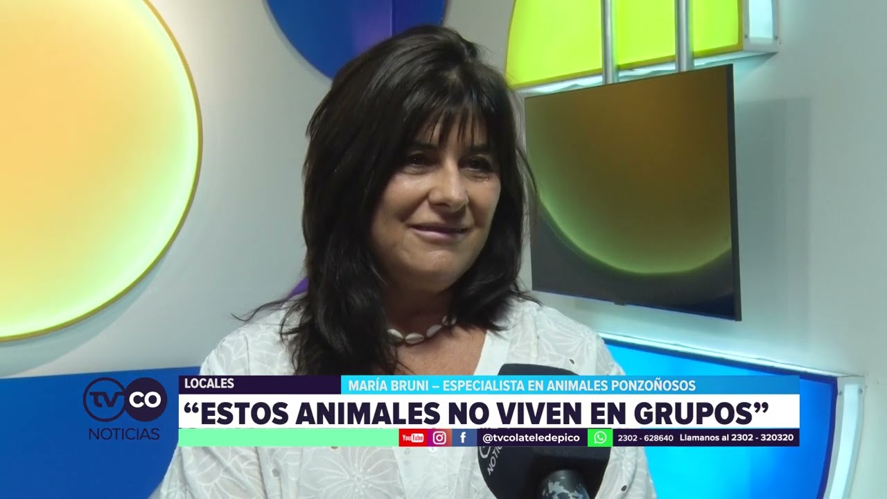 TVCO NOTICIAS - Vecinos alertan por la presencia de arañas y alacranes en los barrios