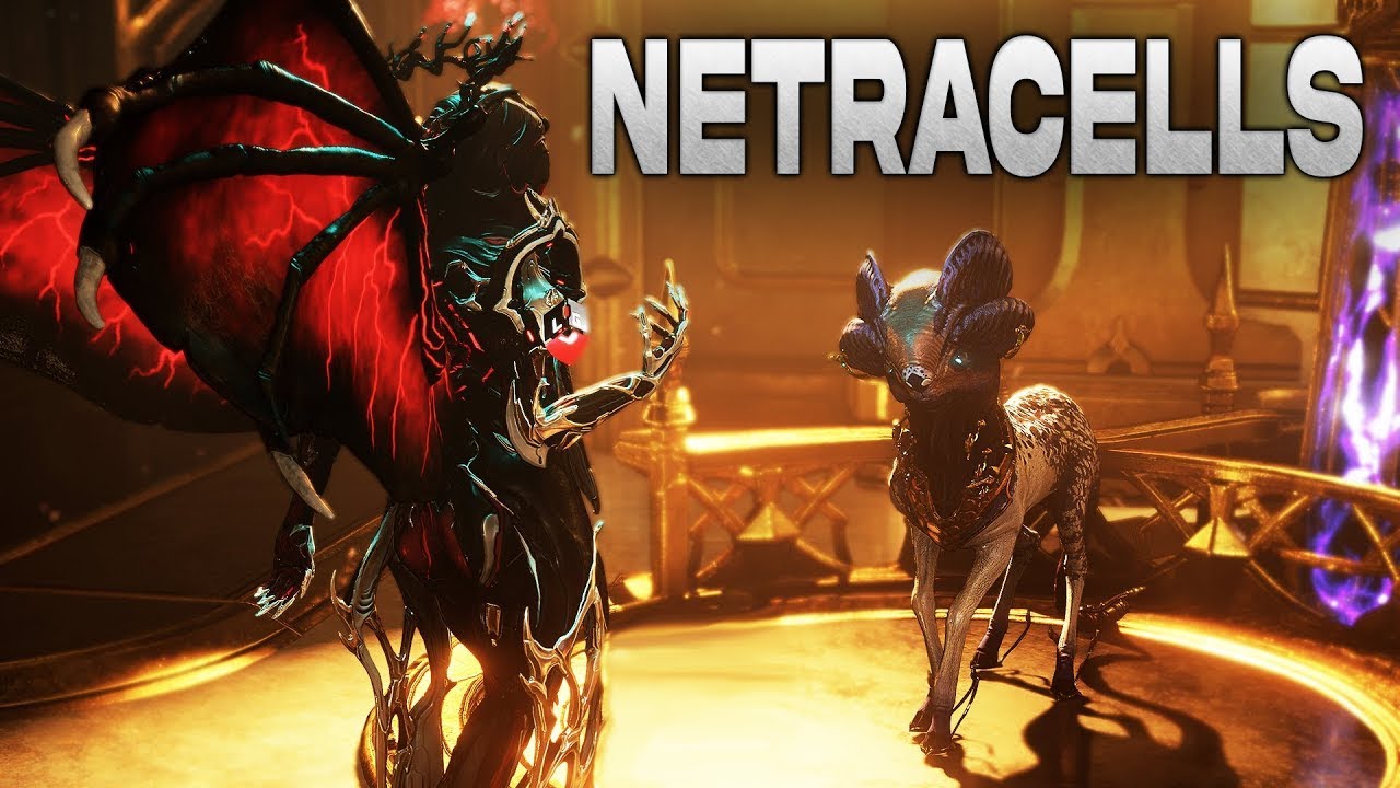 Warframe Netracell Mission, Baroo Ki`teer and Coda Technocyte spawn  2025 (Post-New War)