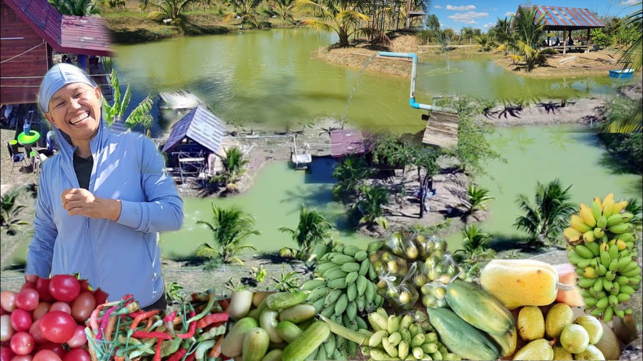 เกษตร​ผสมผสาน​พื้นที่​ 8ไร่!! วางแผนหลายปีเพราะไม่มีที่ทาง!ทำเกษตรอย่างไรไม่ให้ทุกข์และเป็​นหนี้