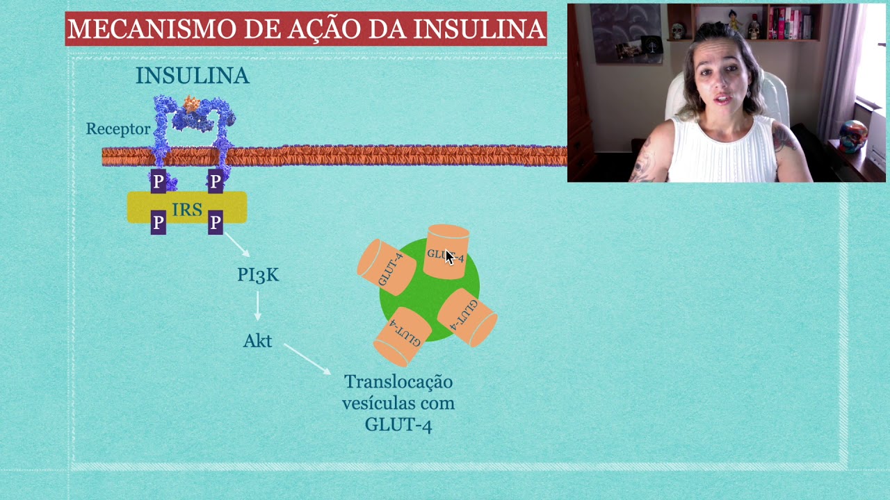 Ação da Insulina Parte 2