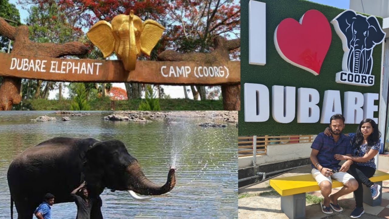Dubare Elephant Camp / Crossing Kaveri River by Walk - Dubare Camp / Coorg/ Kodagu