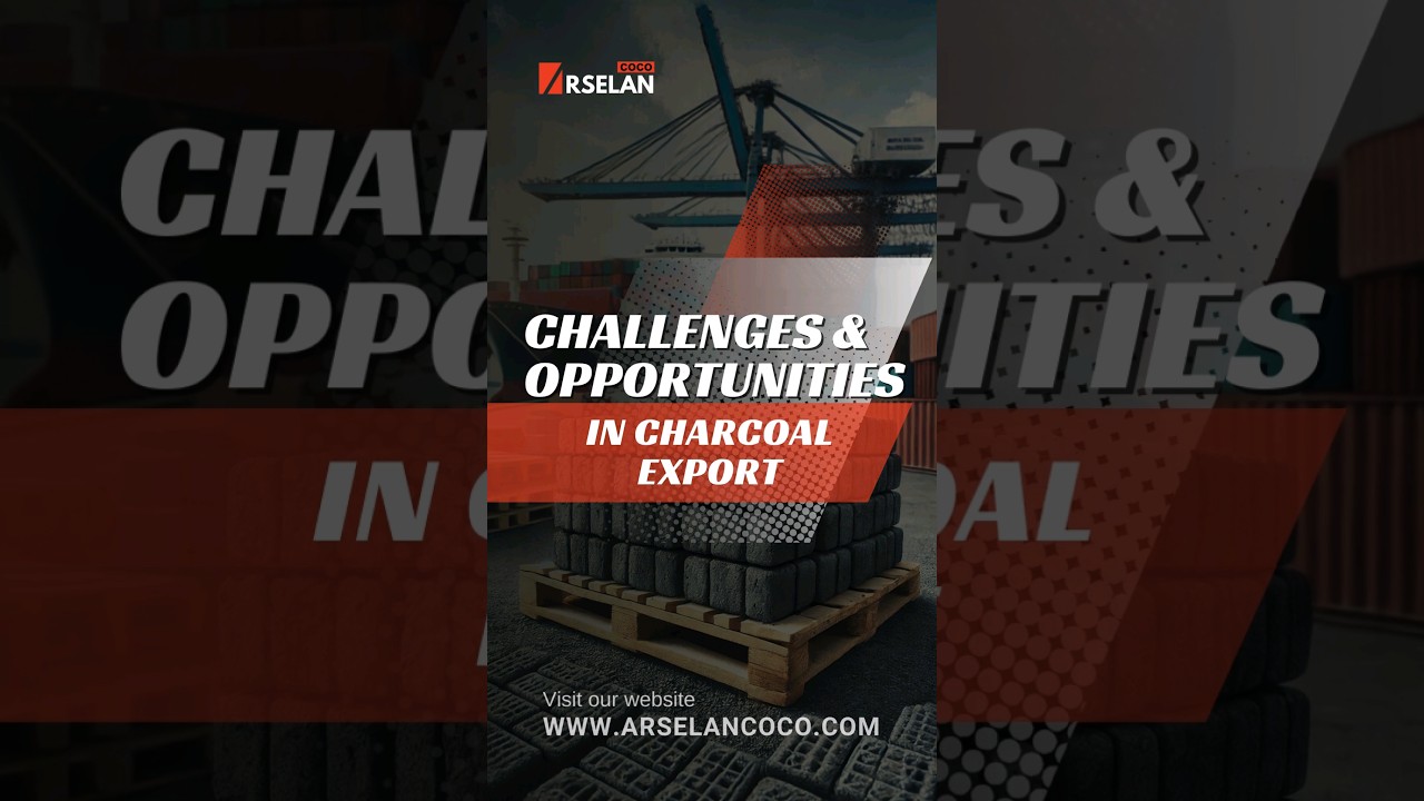 🌍Exploring the Economics of Charcoal Briquette Exports🌱 #facts #charcoalgrilled #news