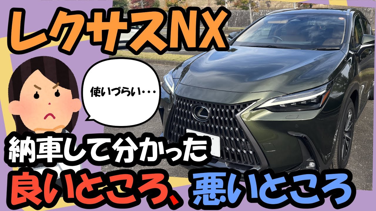 意外と使いにくい？納車して分かったNXの良いところ悪いところ