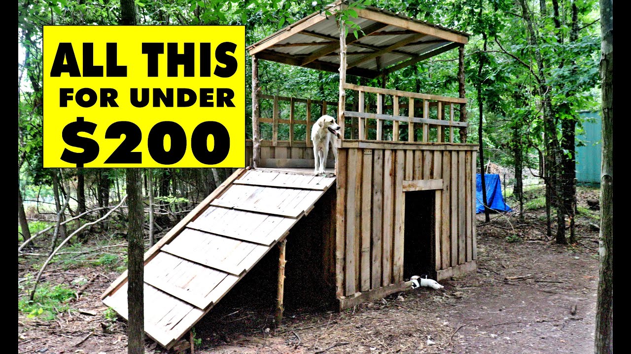 DIY GOAT HOUSE FOR UNDER $200