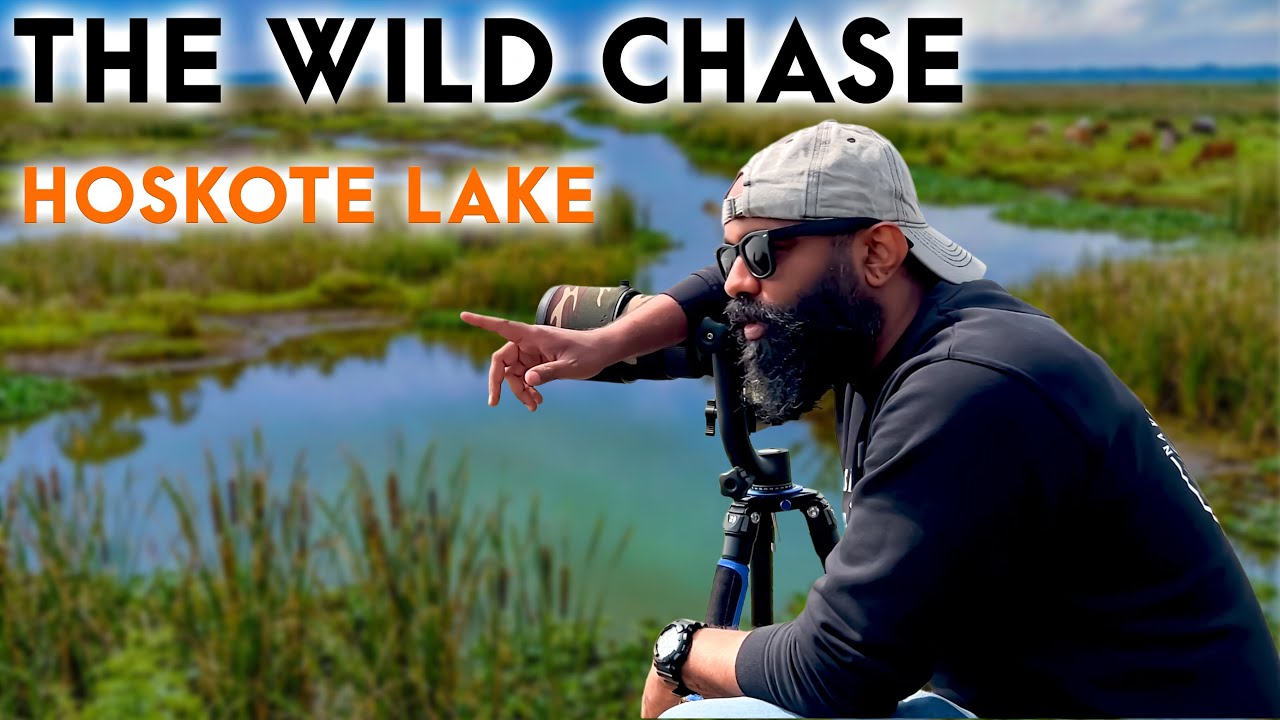 The Wild Chase - Chapter 2 - Hoskote Lake |ದ ವೈಲ್ಡ್ ಚೇಸ್-ಅಧ್ಯಾಯ 2-ಹೊಸಕೋಟೆ ಕೆರೆ| Naveen Srikantachari
