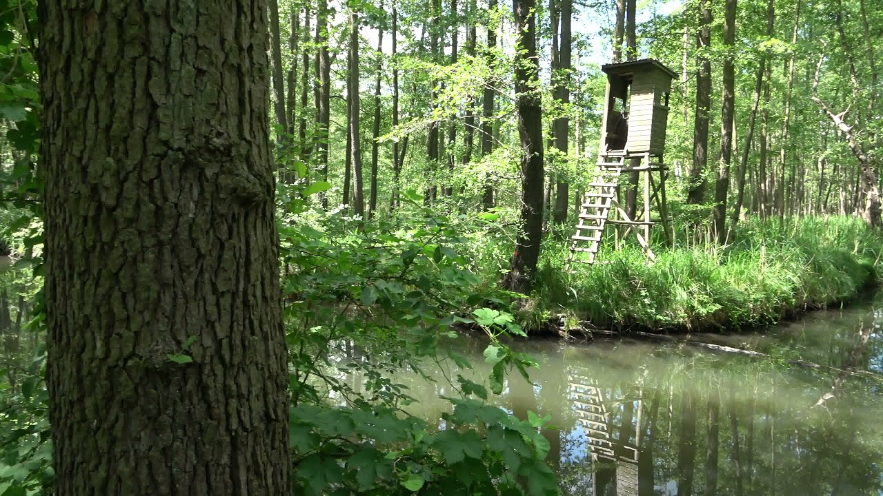 Spreewald: Wanderung von L&uuml;bbenau zur Wotschofska .Teil 1 von 2. [SONY FDR-AX 53 in 4K]