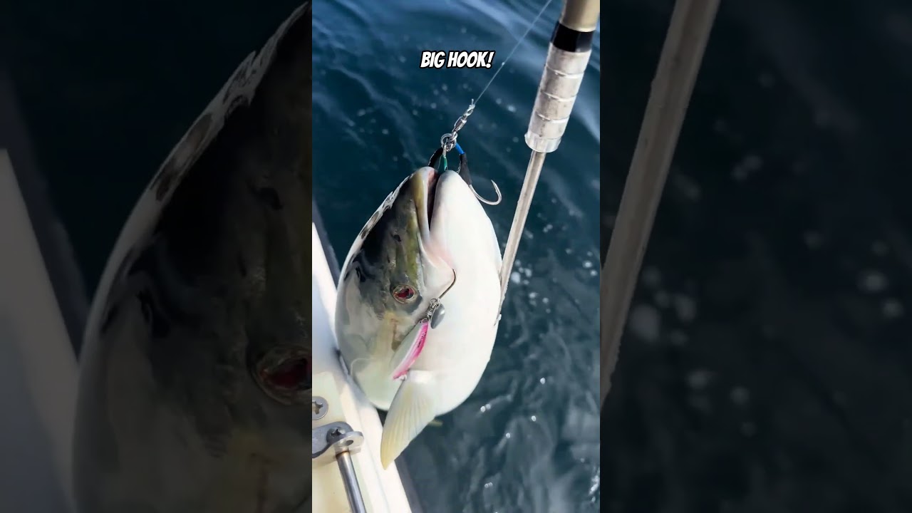 Hooked a Giant Japanese Amberjack 🐟 | 
