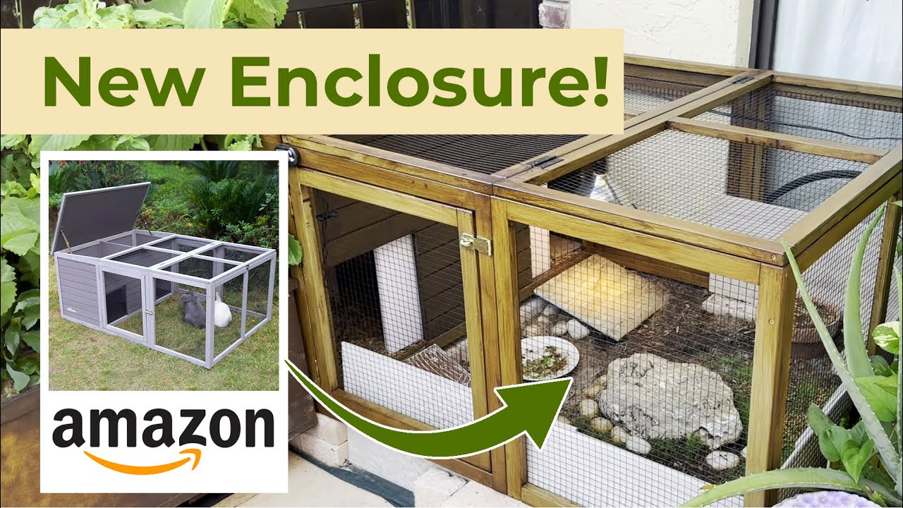 Tortoise's First Outdoor Enclosure! | Aivituvin Cage Review, Painting, and Setup