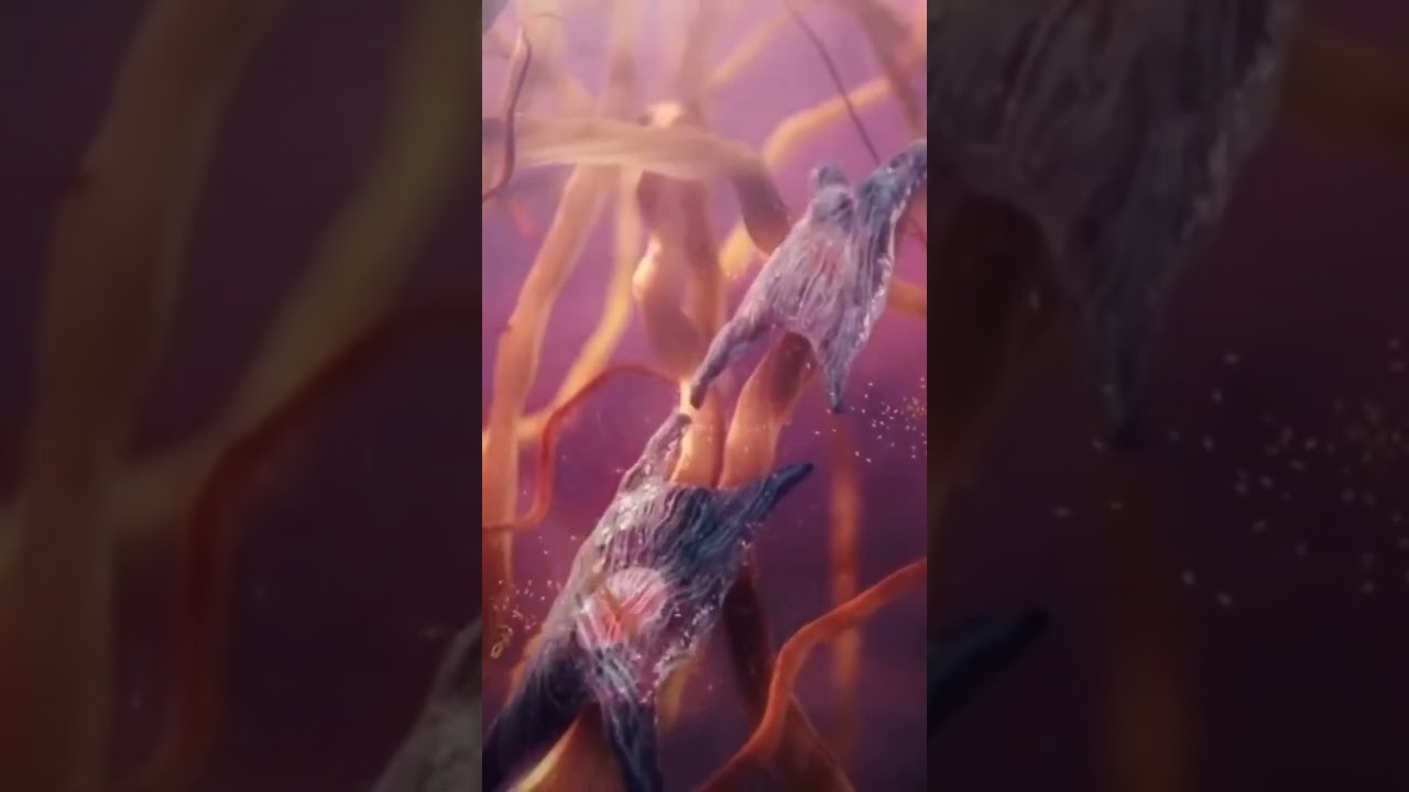 Fibrinogen is a protein that &ldquo;builds&rdquo; blood . #science #research #blood #neuroscience