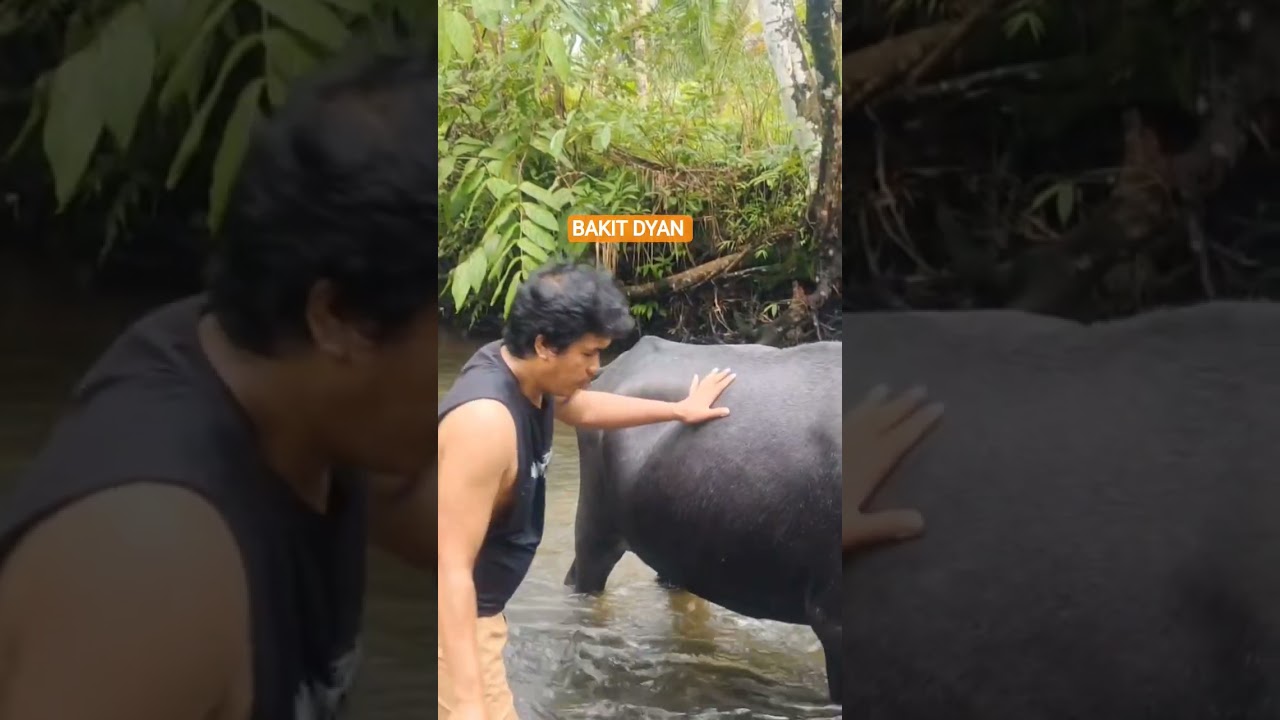 ПРОСТАЯ ЖИЗНЬ