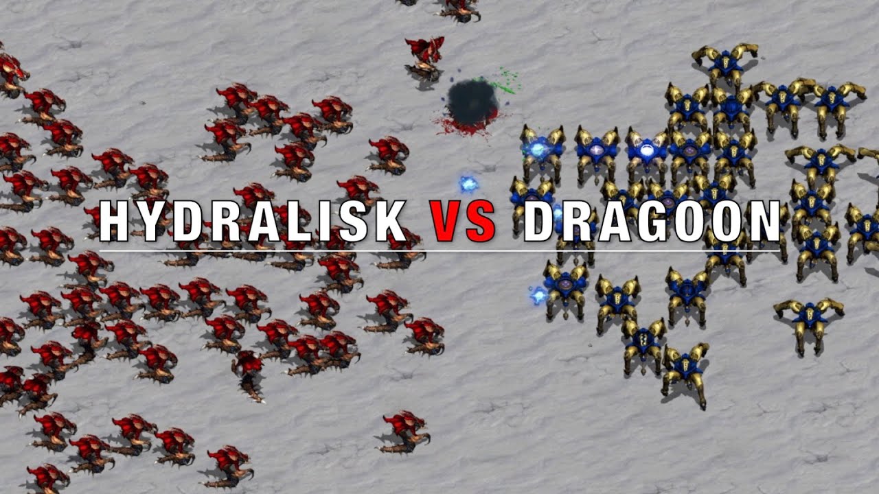 Can Hydralisks beat Dragoons?