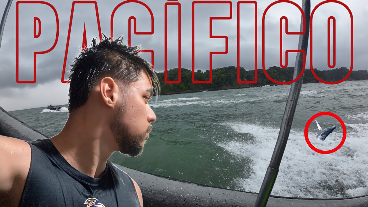 EN BUSCA DE BALLENAS 🐋🇨🇴 ( PACÍFICO COLOMBIANO) 🚤🌎