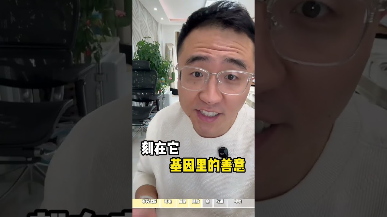 Unbeatable Cat Care: 7 Essential Tips for a Happy Purrfect Pet