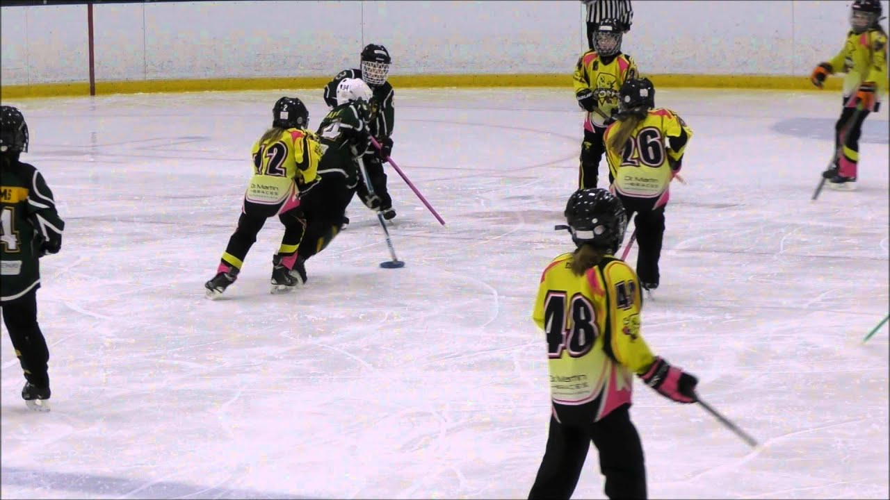 Icicles v s  Fredericton 1   January 30, 2016