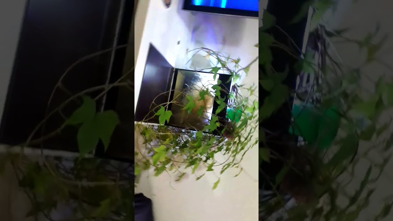 9 de janeiro de 2026