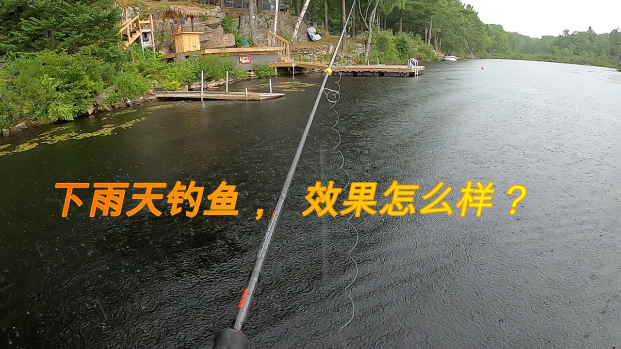 Fishing on a Rainy Day. 下雨天钓鱼，真的容易上鱼