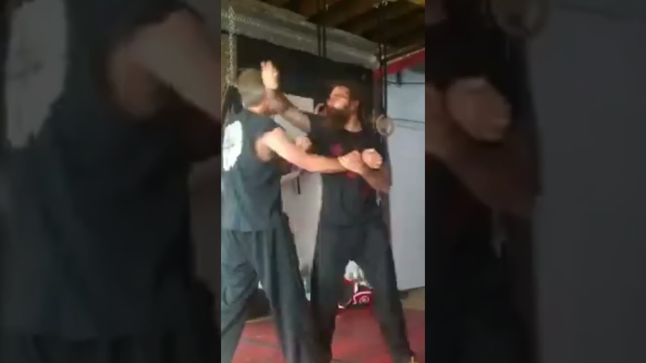 southern hands #kungfu #martialart #chisau #southernprayingmantis #bareknuckle #training #rockford