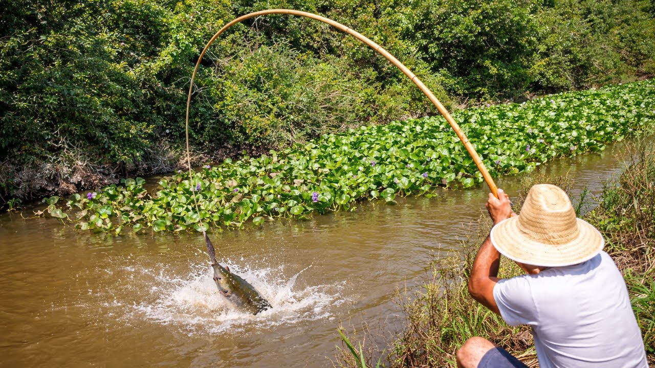 PESCARIA, JAMAIS DUVIDE DE UM CORGUINHO DESSES! SURPRESA NA PESCARIA, O SUSTO FOI GRANDE.