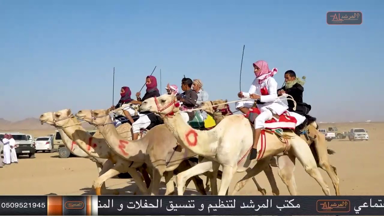 حفل زواج الشاب : نايف عوده اللهيب الحويطي  بتاريخ ( ٤ / ١٠ / ١٤٤٣ ) قرية ابو القزاز